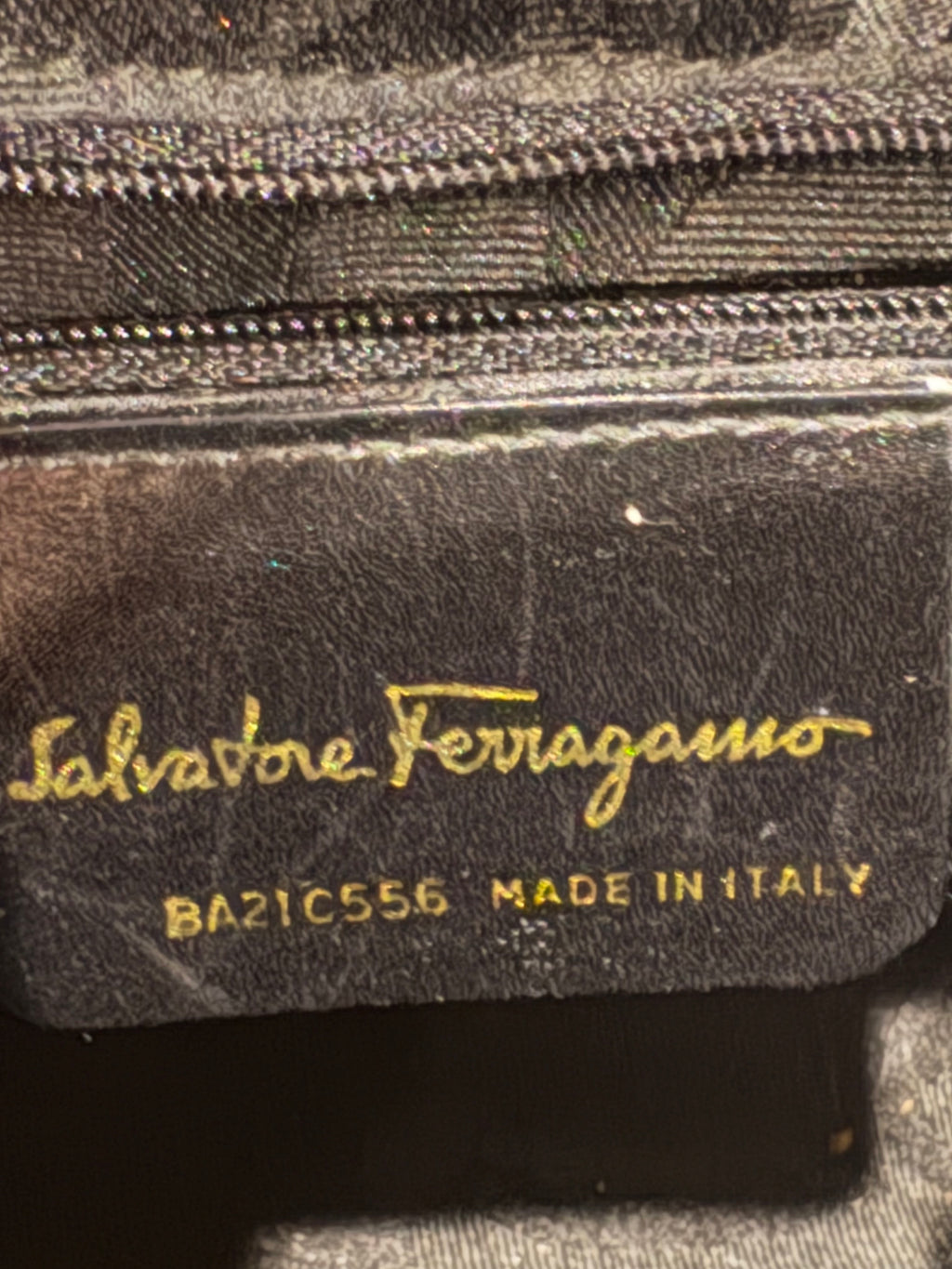 Salvatore Ferragamo Crossbody Camera Bag