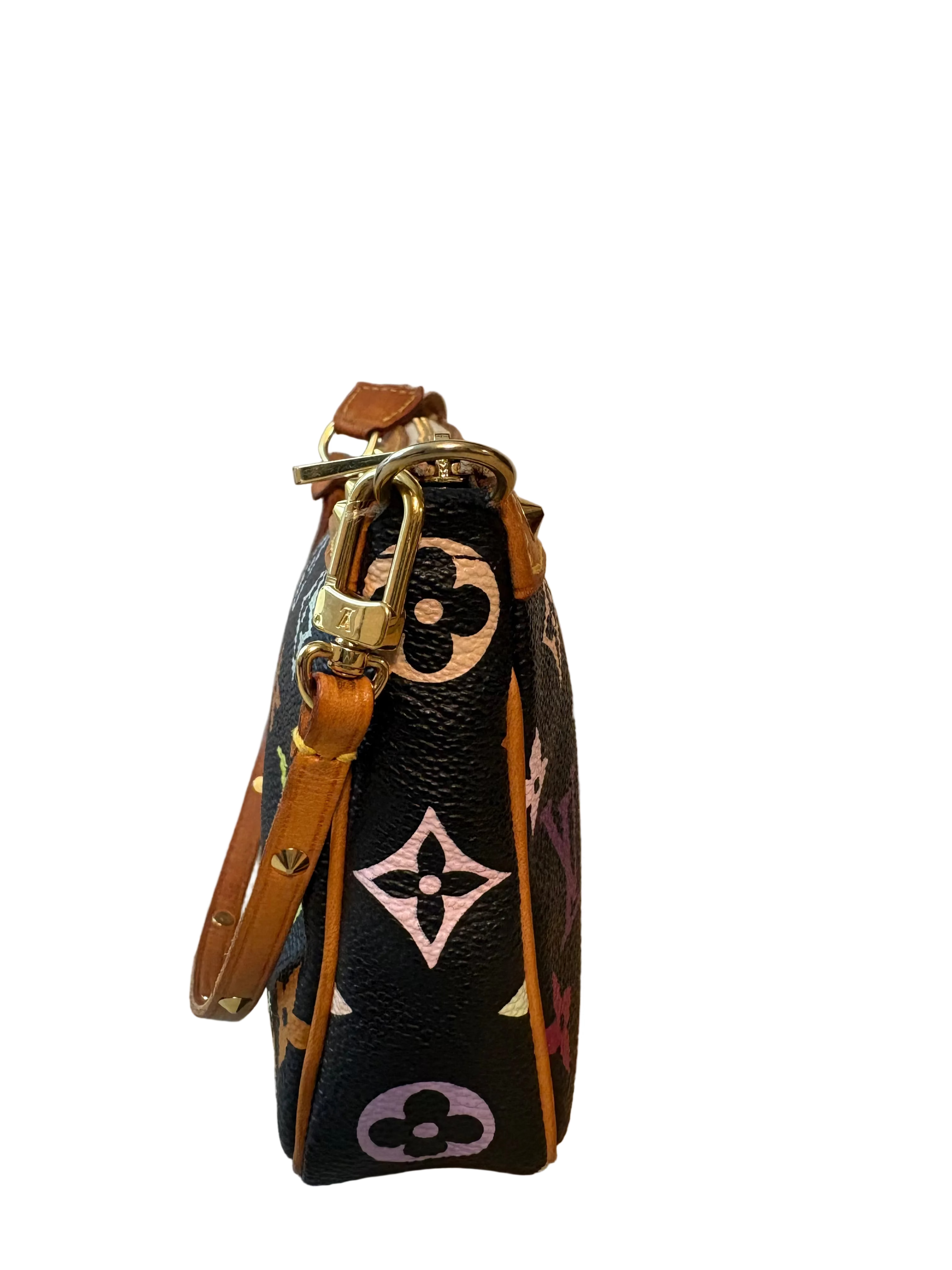 Louis Vuitton Multicolor Pochette Accessoires