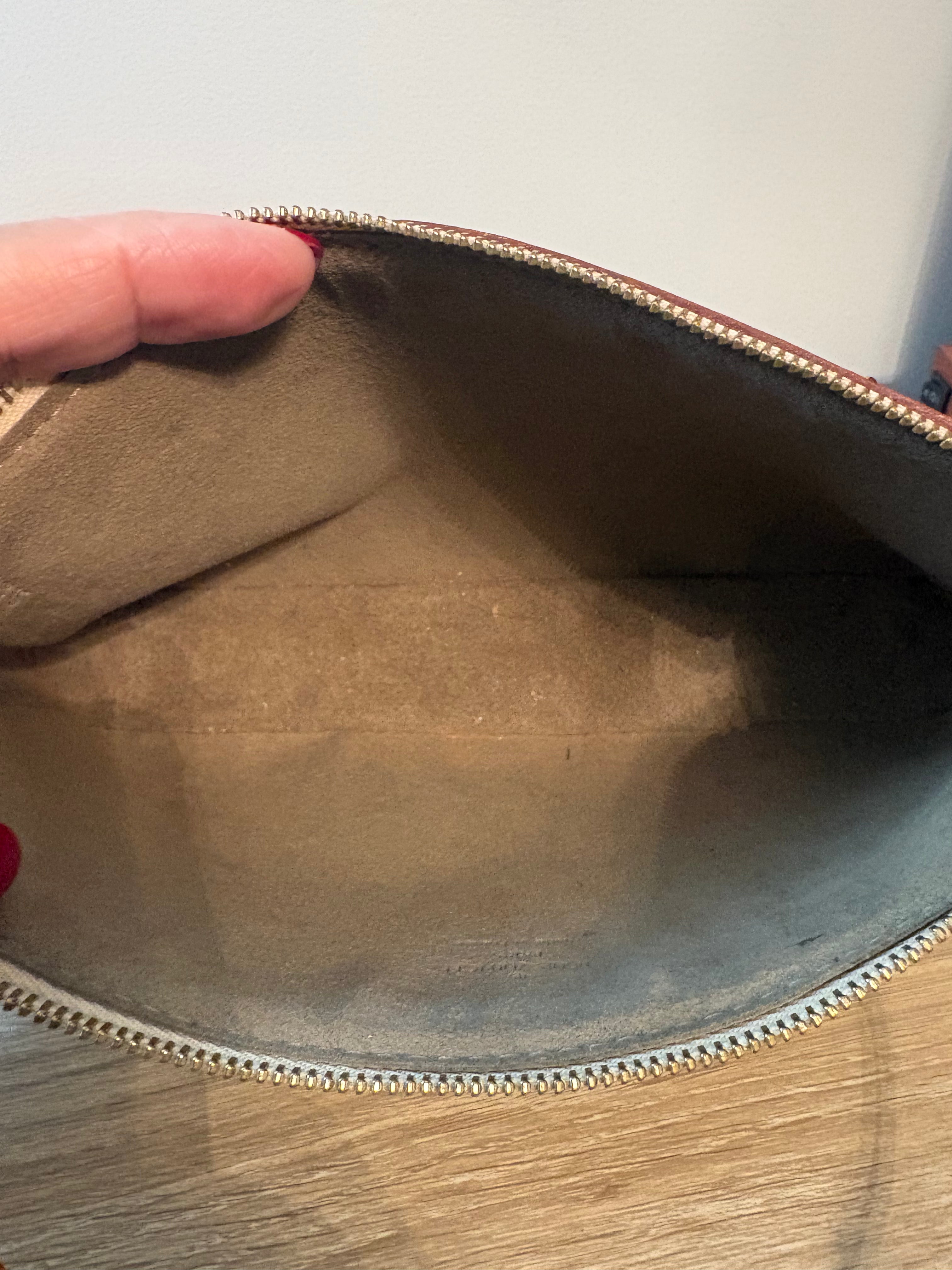 Louis Vuitton Multicolor Pochette Accessoires