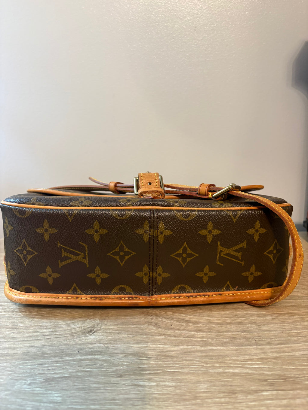 Louis Vuitton Monogram Sologne